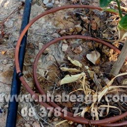 Dây tưới nhỏ giọt Nhà Bè Agri